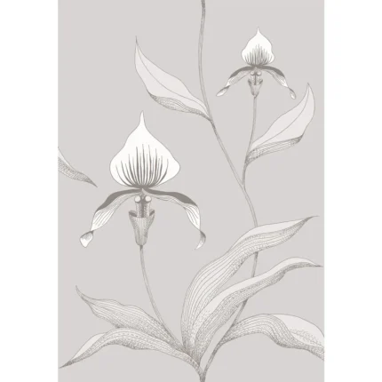 Orchid wallpaper in Grey/white by Cole & Son, botanical & floral pattern