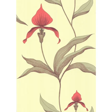 Orchid wallpaper in Lime/or by Cole & Son, botanical & floral pattern