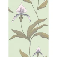 Color Variation
