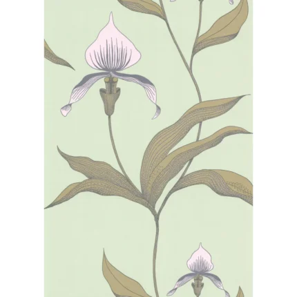 Orchid wallpaper in Pale Gr by Cole & Son, botanical & floral pattern