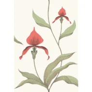 Color Variation