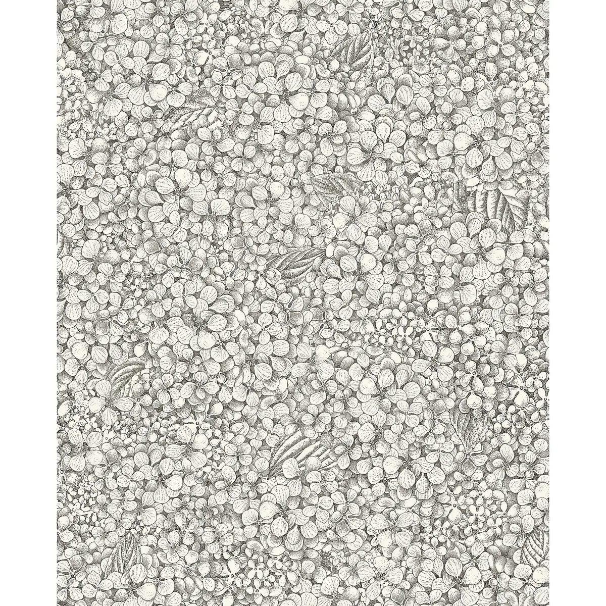Ortensia Black & White Wallpaper - Fornasetti Senza Tempo Ii Collection by Cole & Son - Shop Safe in Houston Wallpapering Ortensia wallpaper in Black and White by Cole & Son, botanical & floral pattern