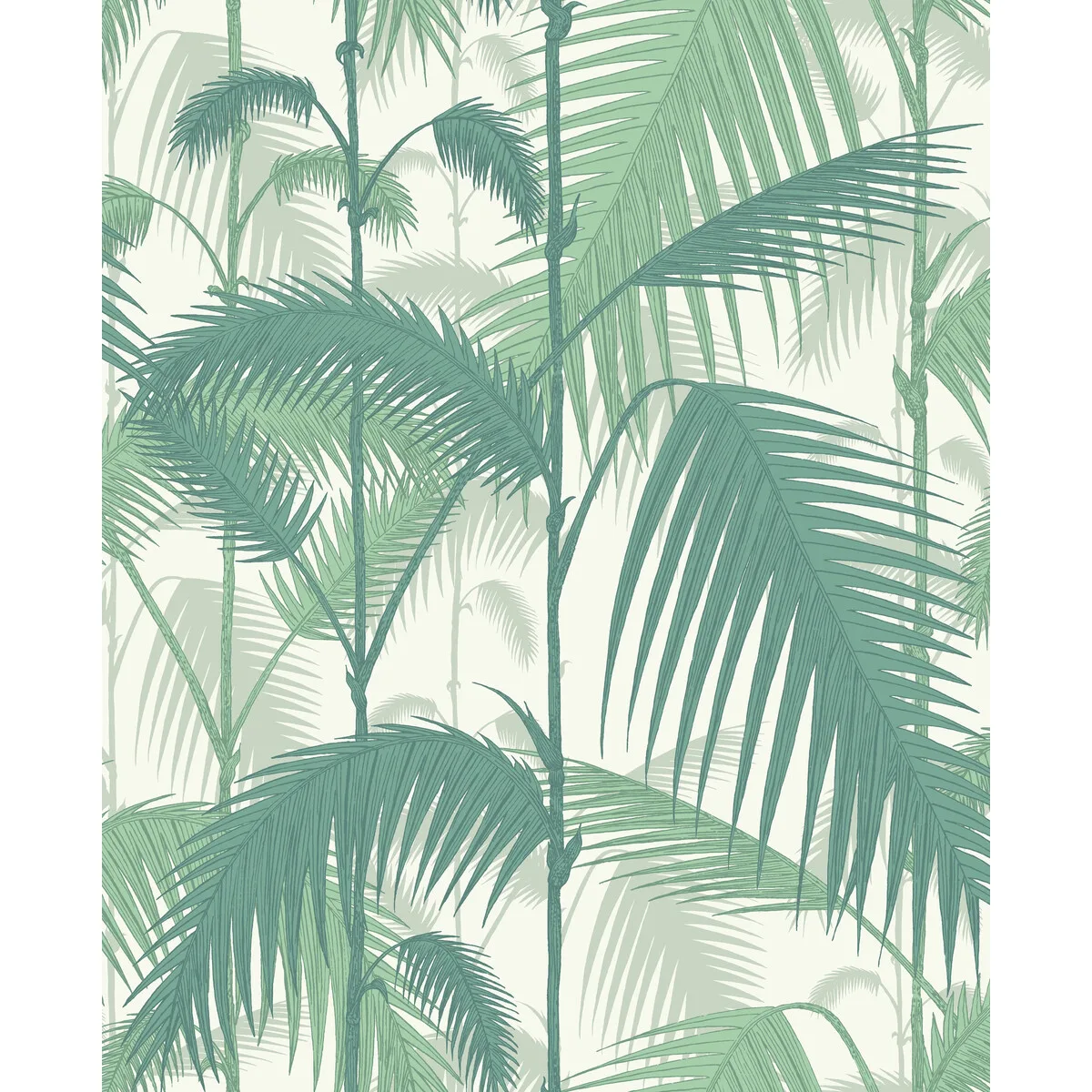 Palm Jungle wallpaper in Forest Gre/w by Cole & Son, botanical & floral pattern