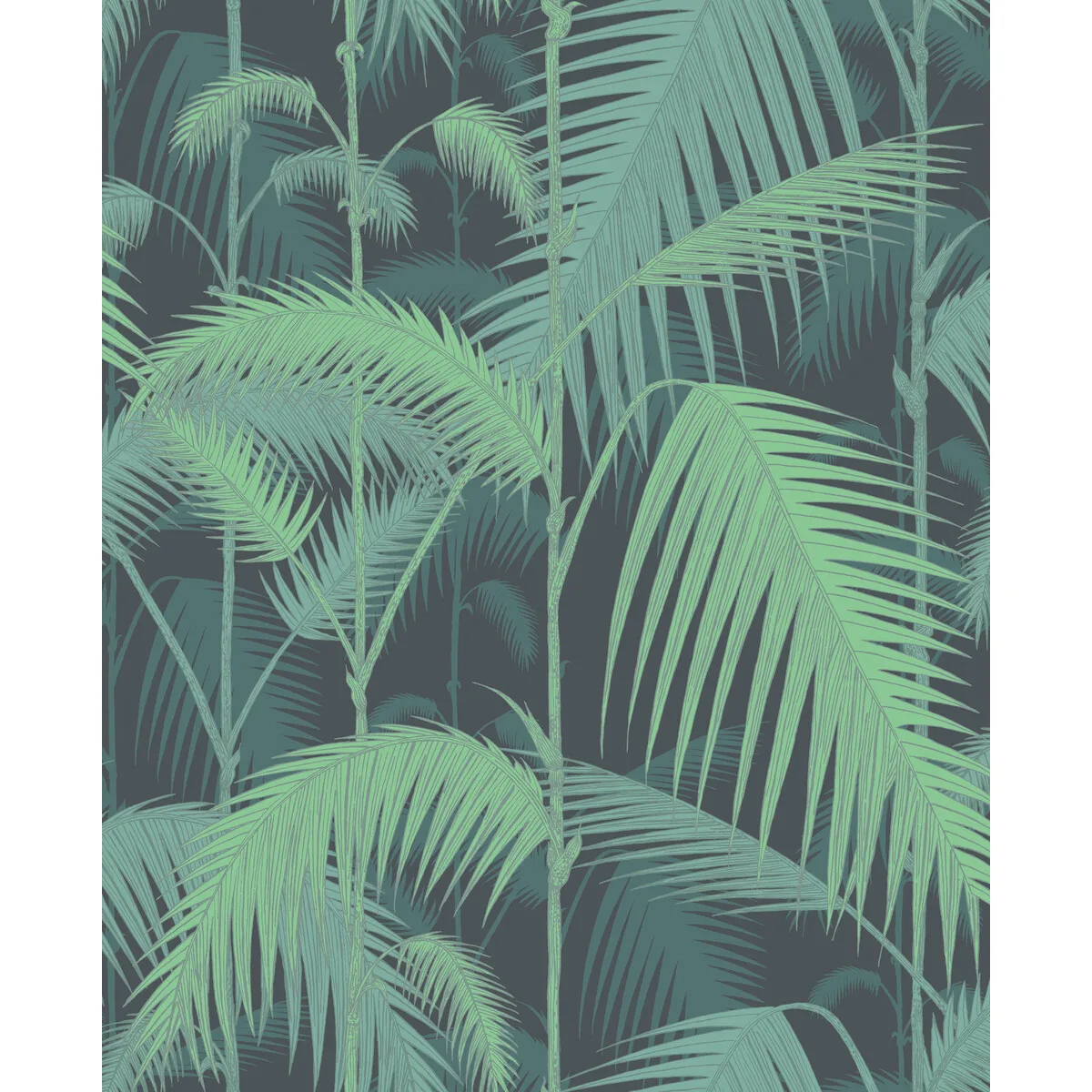 Palm Jungle wallpaper in Green/black by Cole & Son, botanical & floral pattern