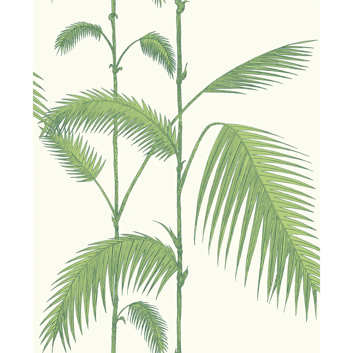 Palm Leaves wallpaper in Green/white by Cole & Son, botanical & floral pattern