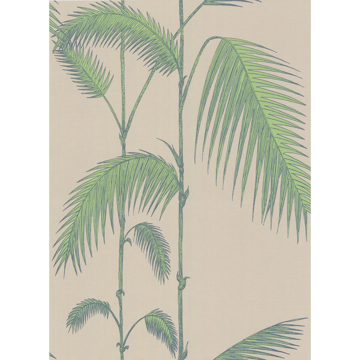 Palm Leaves wallpaper in Taupe/g by Cole & Son, botanical & floral pattern