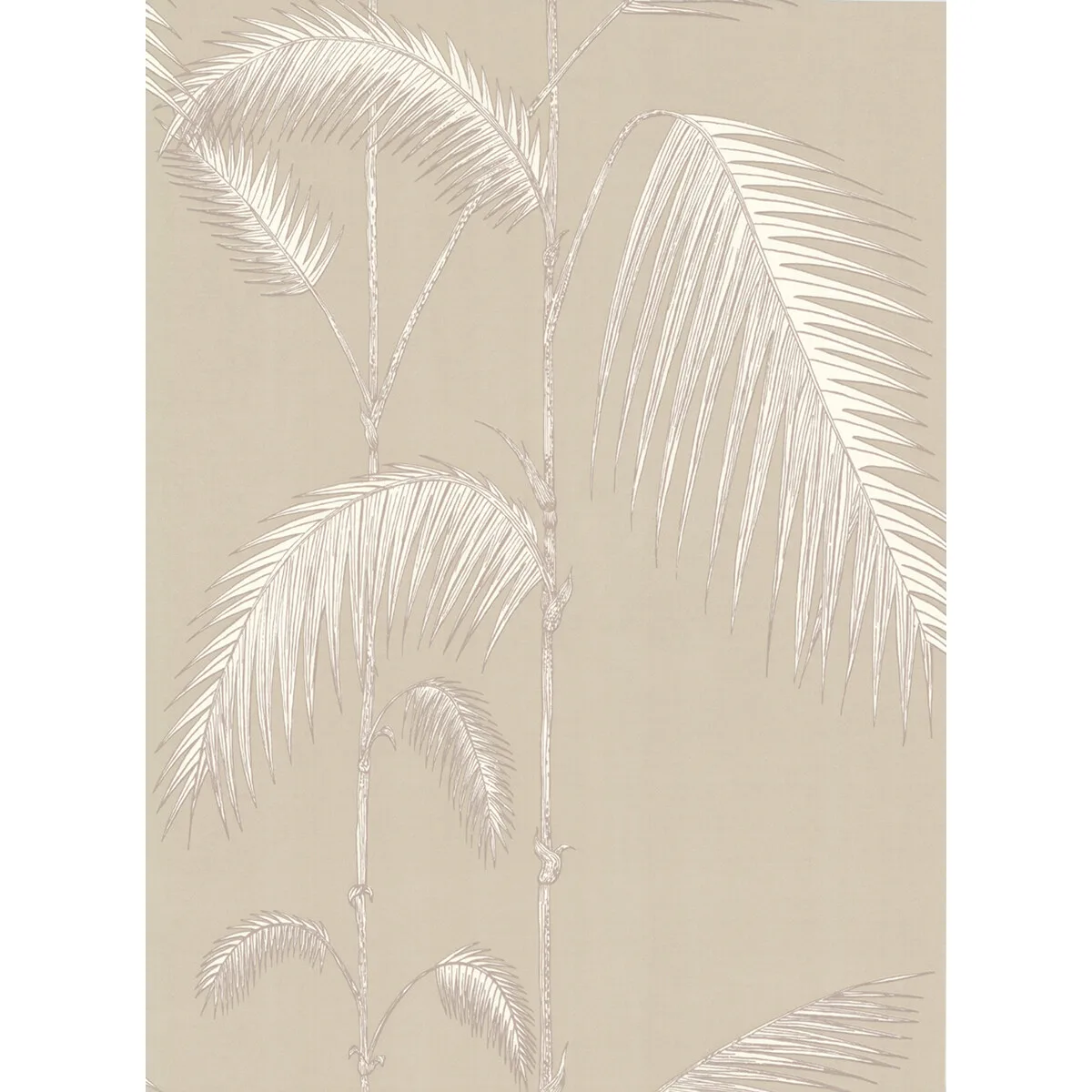 Palm Leaves wallpaper in Taupe/w by Cole & Son, botanical & floral pattern