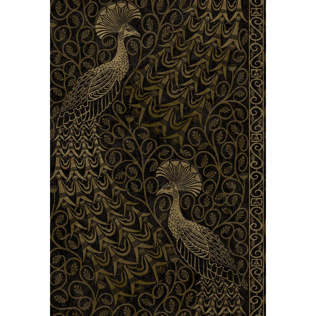 Pavo Parade wallpaper in M Gold/soot by Cole & Son