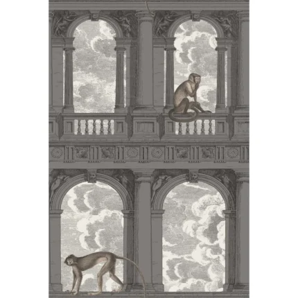 Procuratie Con Vista wallpaper in Soot and Snow by Cole & Son