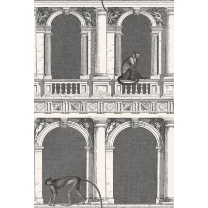 Procuratie E Scimmie wallpaper in B/w by Cole & Son