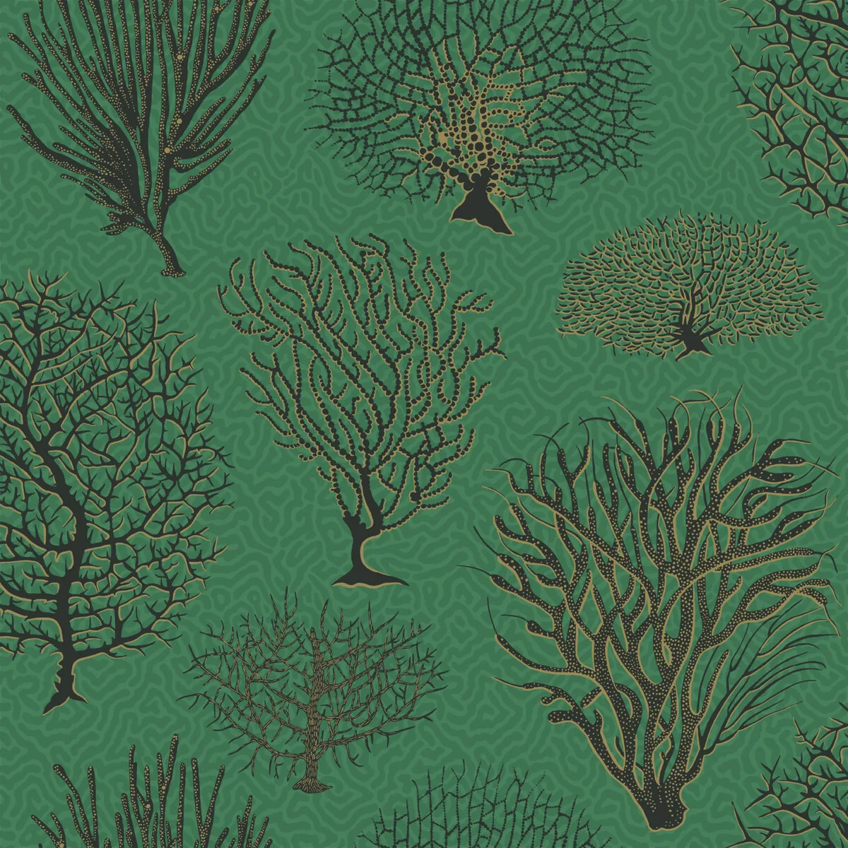 Seafern wallpaper in Emerald by Cole & Son
