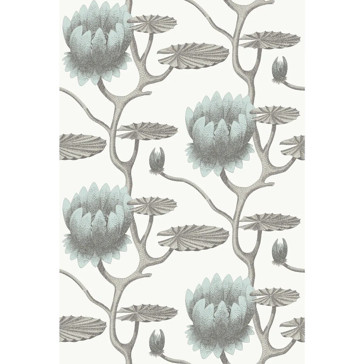 Summer Lily wallpaper in Aqua/white by Cole & Son, botanical & floral pattern