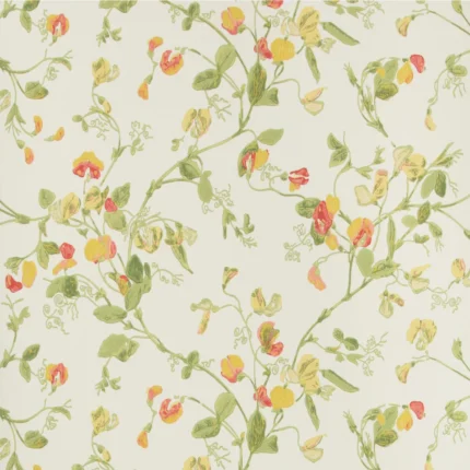 Sweet Pea wallpaper in Pink and Yellow by Cole & Son, botanical & floral pattern