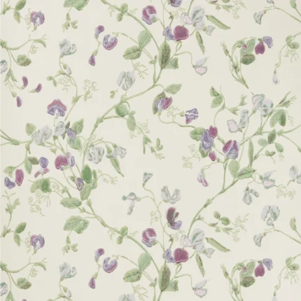 Sweet Pea wallpaper in Violet by Cole & Son, botanical & floral pattern