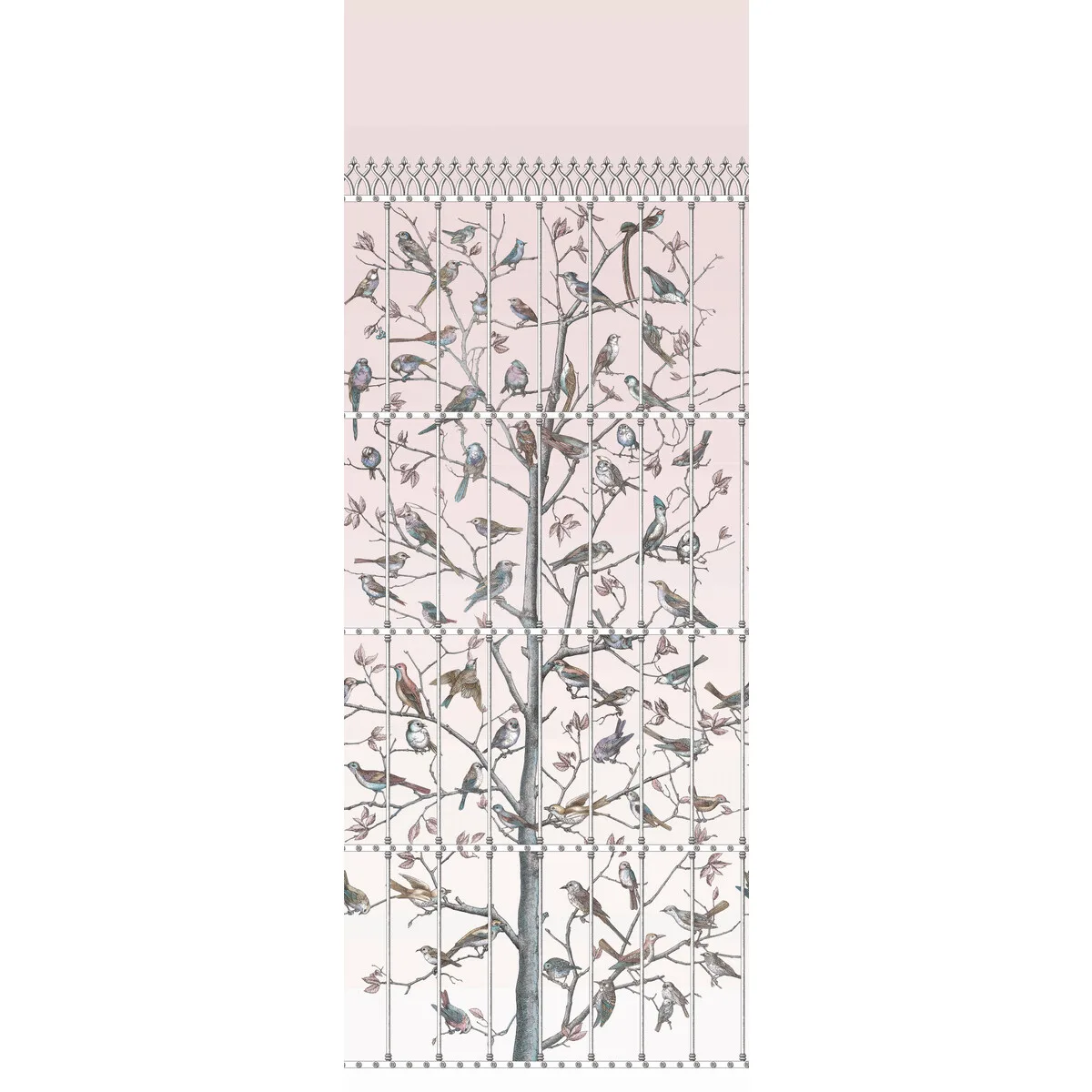 Uccelli mural in Ballet Slipper by Cole & Son