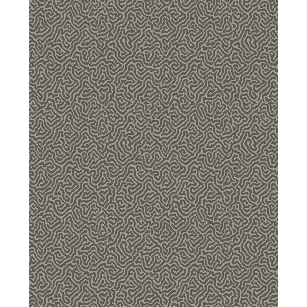 Vermicelli Black & Linen Wallpaper - Curio Collection by Cole & Son - Shop Safe in Houston Wallpapering Vermicelli wallpaper in Black and Linen by Cole & Son