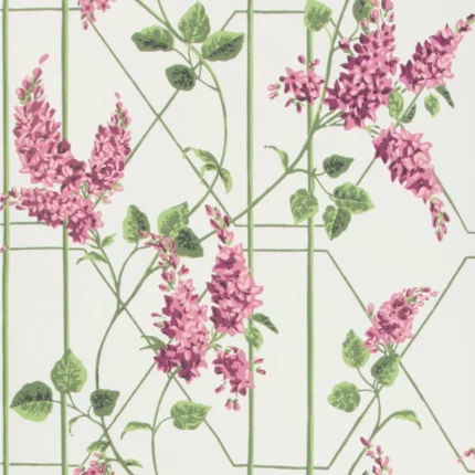 Wisteria wallpaper in Magenta/green/wh by Cole & Son
