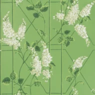 Color Variation