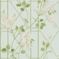 Color Variation