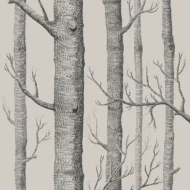 Color Variation