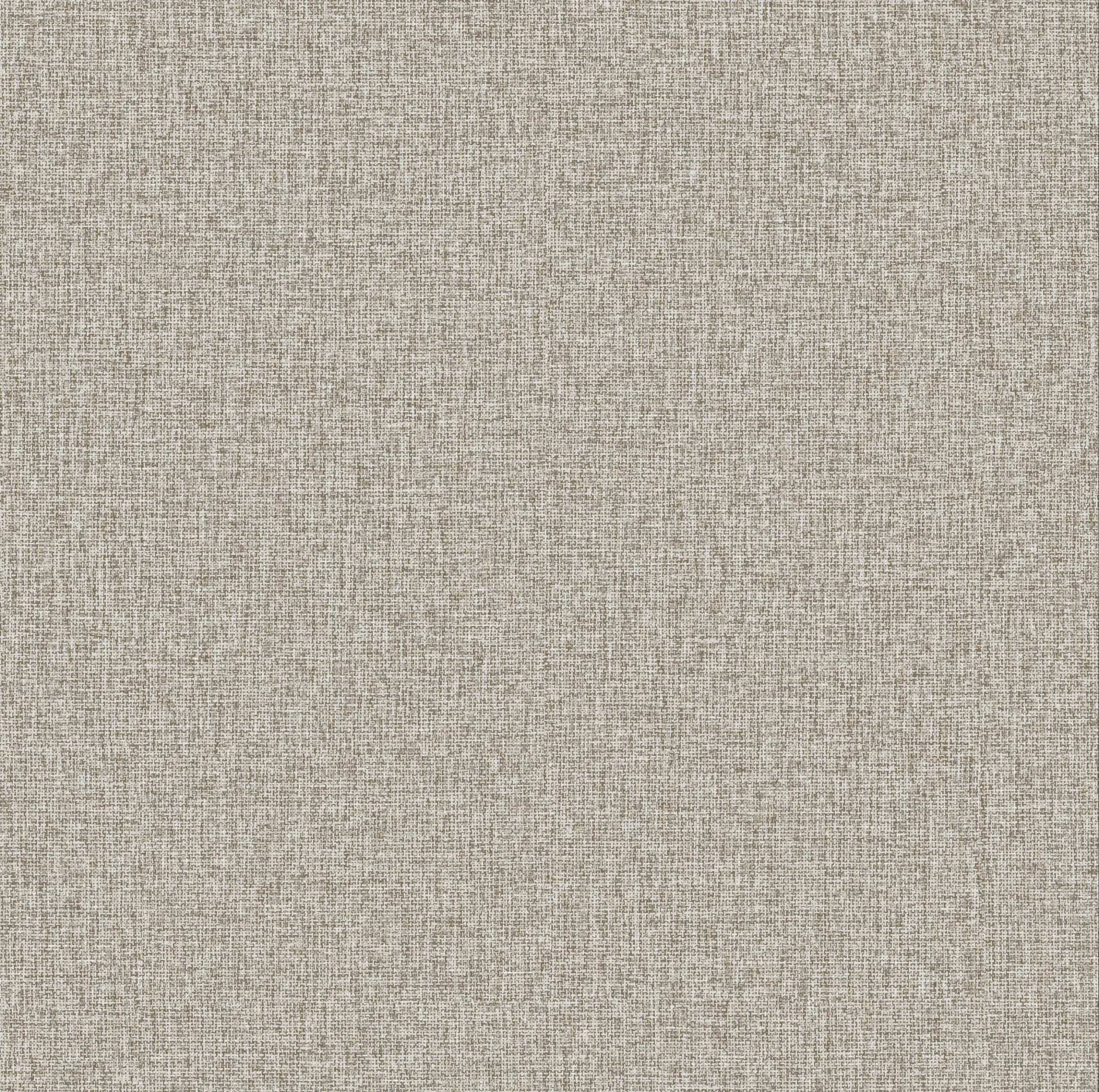 Afra Textured Wallpaper by Wow - Premium in Beige with Light Gray