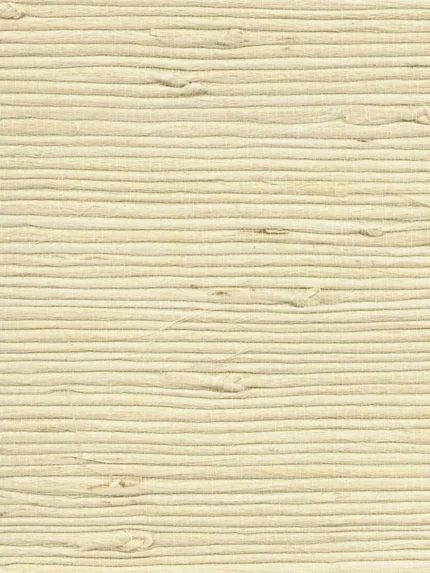 cream textured wallpaper for office by Advantage