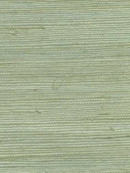 Color Variation