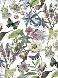 Color Variation