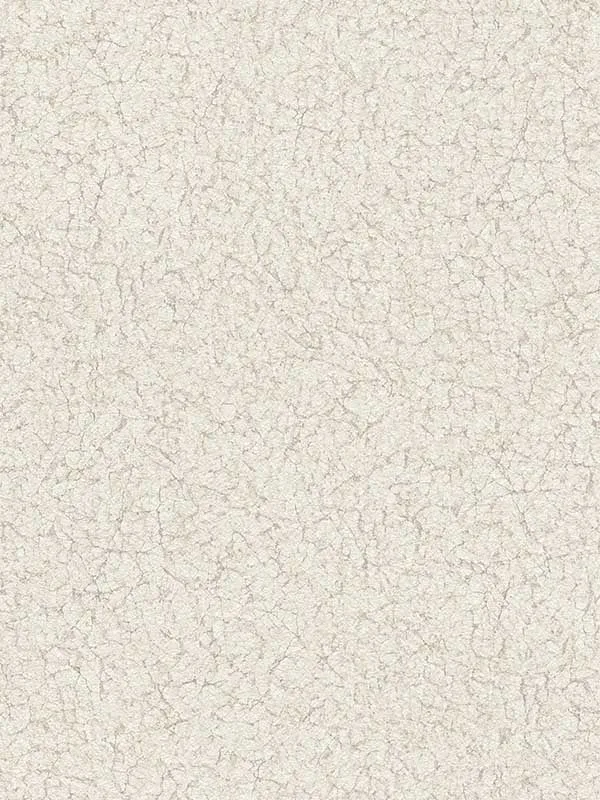 dove textured wallpaper for office by Advantage
