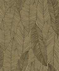 Color Variation