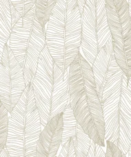 Color Variation