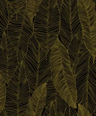 Color Variation