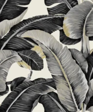 Color Variation