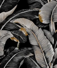 Color Variation