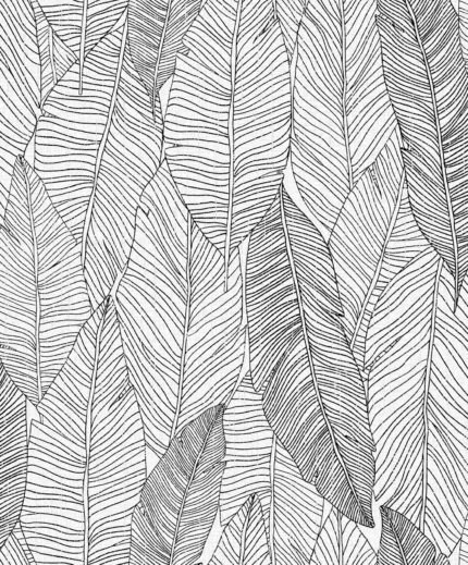 Dharma Botanical Wallpaper by Wow - Premium in White with Black