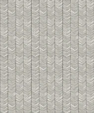 Color Variation