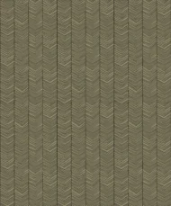 Color Variation