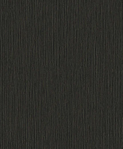 Dharma Textured Wallpaper by Wow - Modern in Charcoal with Gold
