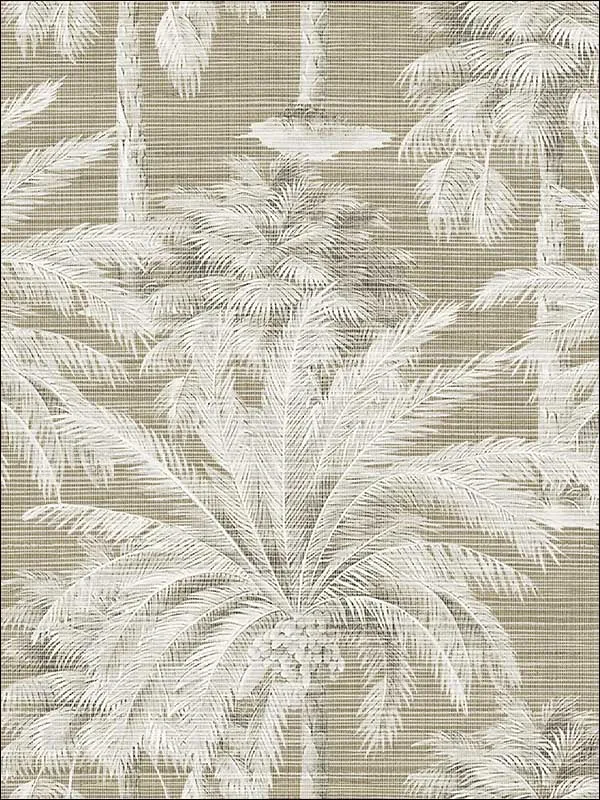 brown textured wallpaper for office by Kenneth James