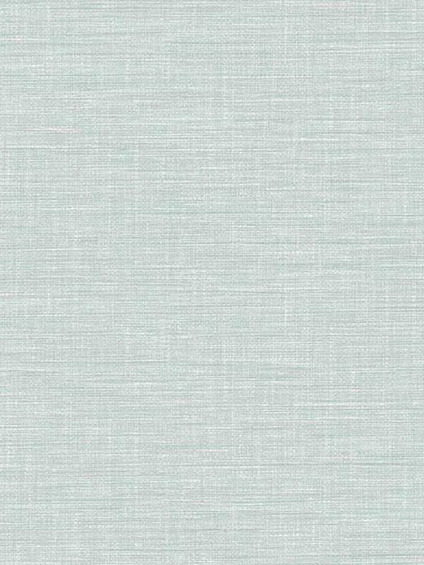 light blue textured wallpaper for office by A Street Prints