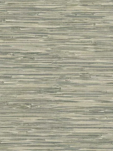 moss textured wallpaper for office by A Street Prints