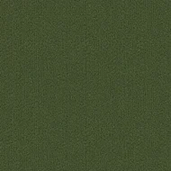 GRA020