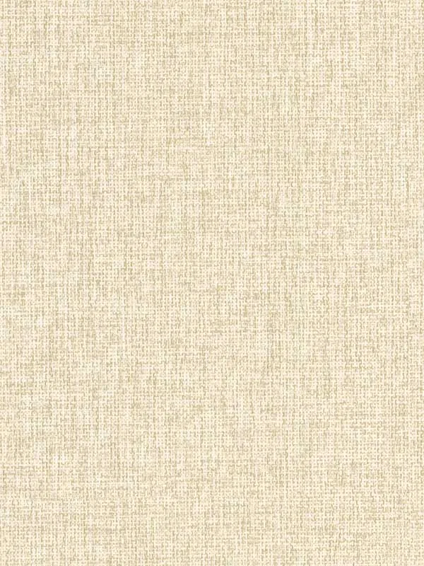 taupe textured wallpaper for office by Advantage