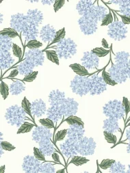 Blue and White