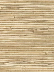Color Variation