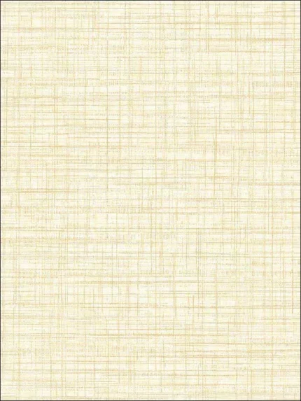 light yellow textured wallpaper for office by A Street Prints