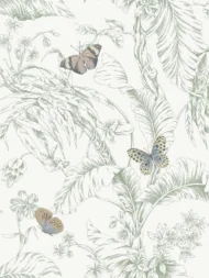 Color Variation