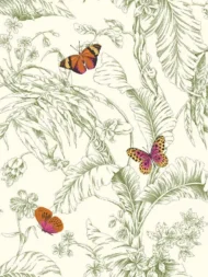 Color Variation