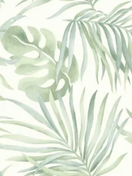 PSW1413RL Paradise Palm Peel and Stick Aloe