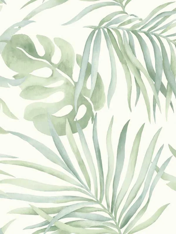Psw1413rl Paradise Palm Peel and Stick Aloe Wallpaper for Living Rooms or Entryways | Candice Olson - Shop Safe in Houston Wallpapering aloe botanical wallpaper for bedroom by Candice Olson